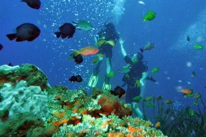 scuba diving vacations for beginners