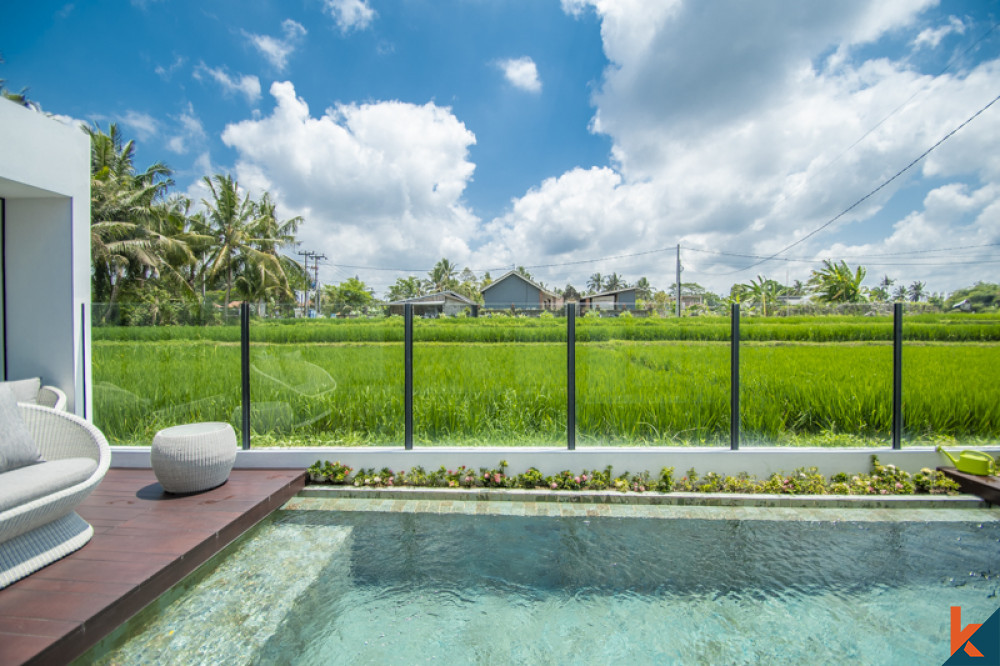 a villa with rice paddy views
