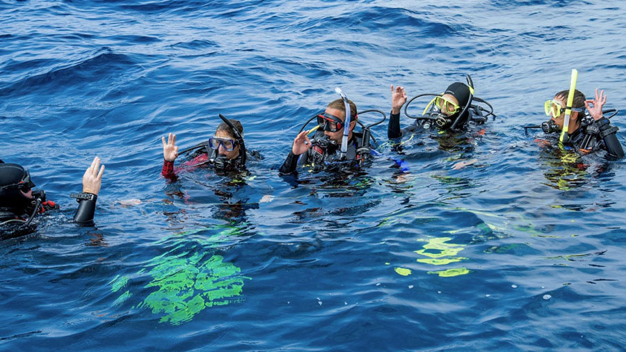 Diving courses in Komodo